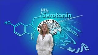 Neurotransmitters and Their Functions [upl. by Idner617]