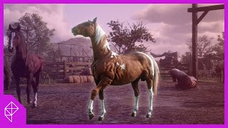 How To Get ANY Best Horse For FREE amp EARLY Even The Rose Arabian Red Dead Redemption 2 Horses [upl. by Aridaj]