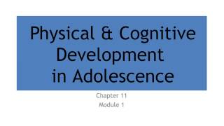 What Is Developmental Psychology [upl. by Hughmanick320]