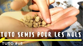 Comment semer des graines même en appart [upl. by Riesman]