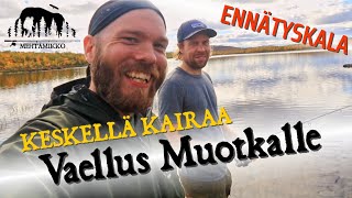 KESKELLÄ KAIRAA – Syysvaellus Muotkatunturin erämaahan [upl. by Frame]