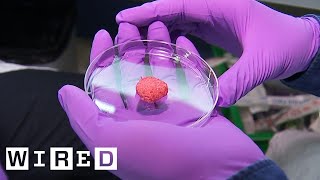 Inside the Quest to Make Lab Grown Meat  WIRED [upl. by Ylatan]