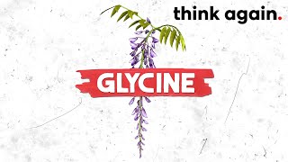 Glycine One Of The Most Potent AntiInflammatory Amino Acids [upl. by Yeorgi773]