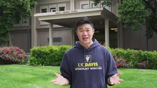 UC Davis School of Veterinary Medicine Virtual Tour [upl. by Siednarb880]