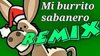 Mi Burrito Sabanero REMIX Dj OKR style version bailable [upl. by Naujd]