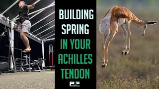 How I Turned My Achilles Tendon Into a SPRING Like a Gazelle [upl. by Saiff]