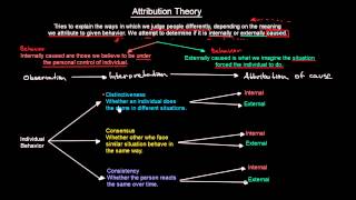 Attribution Theory  Organisational Behavior  MeanThat [upl. by Aggarwal819]