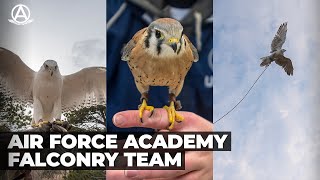 US Air Force Academys Falconry Team [upl. by Kerred445]