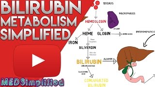 Bilirubin Metabolism Simplified [upl. by Yahsat]