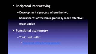 Gesells maturation theory [upl. by Vinni]