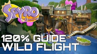 Spyro The Dragon Reignited 120 Guide WILD FLIGHT ALL GEMS EGGS DRAGONS [upl. by Ancelin]