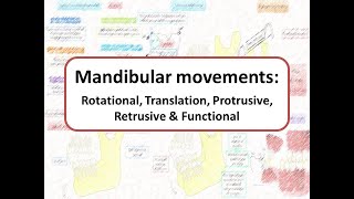 Mandibular movements Rotational Translational Protrusive Retrusive amp Functional [upl. by Asiled]