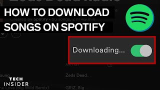 How To Download Music From Spotify 2022 [upl. by Nihi]