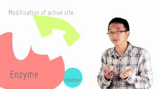 4 1 Reversible vs irreversible inhibition [upl. by Conte]