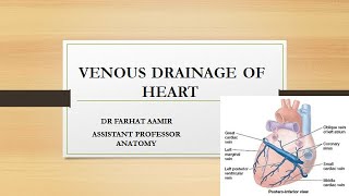 Arterial Supply And Venous Drainage of Heart [upl. by Sollars220]