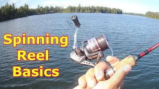 Spinning Reel Basics  How To Use A Spinning Reel [upl. by Lisette]