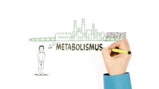 Metabolismus – o přeměně látek – NEZkreslená věda III [upl. by Eidualc]