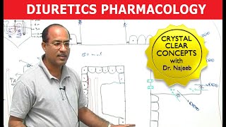 Diuretics  Pharmacology  Dr Najeeb [upl. by Kriss951]