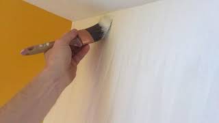 How To Paint Textured Vinyl Wallpaper  Spencer Colgan [upl. by Calderon69]