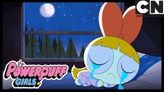 Powerpuff Girls  What Has Blossom Become  Cartoon Network [upl. by Nawotna]