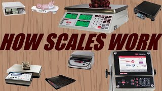 How Does a Digital Scale Work [upl. by Nomra]