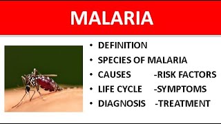 Malaria Explained Symptoms Causes Species Types Life Cycle amp Treatment [upl. by Sug]