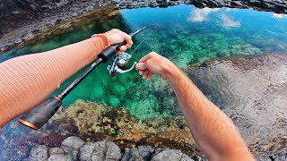 Amazing Fishing in Crystal Clear Rock Pools [upl. by Eixor243]