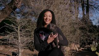 Veterinary Science Major at the University of Arizona [upl. by Lance]