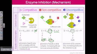 Enzyme inhibition [upl. by Aihsekyw]