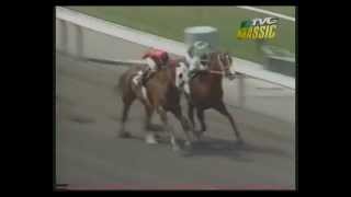 MATCH RACE  Quarter Horse vs Thoroughbred [upl. by Ezana]