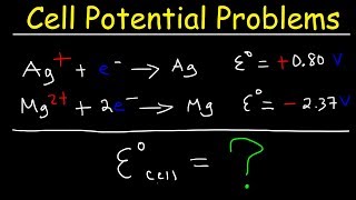 Cell Potential Problems  Electrochemistry [upl. by Nnairret399]