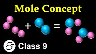 Mole Concept  Atoms and Molecules  12  in Hindi for Class 9 Science NCERT [upl. by Nairadal28]