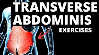 7 Effective TRANSVERSE ABDOMINIS Exercises WORK IMMEDIATELY [upl. by Aihsein]