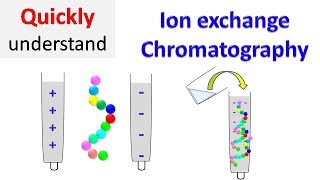 Ion exchange chromatography [upl. by Wilie511]