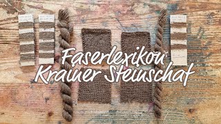 Faserlexikon Krainer Steinschaf [upl. by Ingaborg]