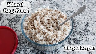 Easy Bland Dog Food Recipe  For GI Upset [upl. by Boar]