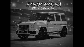 Banda Marna Song Slow amp Reverbtseriesapnapunjab [upl. by Glad]