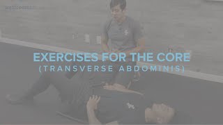 Exercises for the Core Transverse Abdominis [upl. by Eillit]