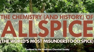 The Worlds Most Misunderstood Spice Allspice [upl. by Cully]