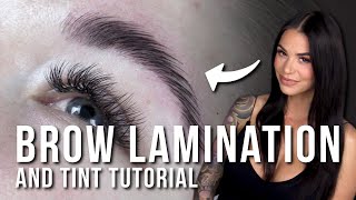 How to Do a Brow Lamination and Tint [upl. by Laurel471]