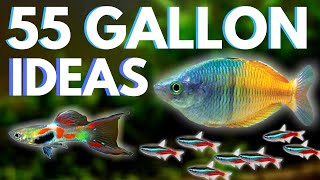 Top 5 Fish for a 55 Gallon Aquarium [upl. by Xad]