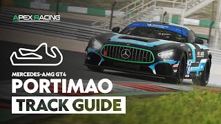 MercedesAMG GT4 Portimao Track Guide  Apex Racing Academy [upl. by Nairdna]