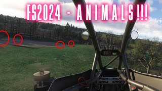 Finding ANIMALS in MSFS2024 [upl. by Aline]