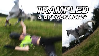 GOPRO HORSE FALL [upl. by Namad846]