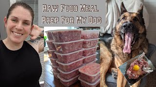 How I Feed My Dog a Raw Food Diet  Way easier and cheaper than you think [upl. by Pantin]