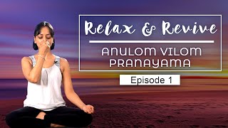 Simple Ways To MEDITATE At HOME  Anulom  Vilom Pranayam Breathing Exercise  Relax amp Revive E01 [upl. by Odla684]