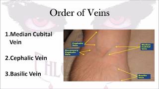 Chapter 1 Phlebotomy Practice and Quality Assessment Lecture [upl. by Ria]