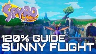 Spyro The Dragon Reignited 120 Guide SUNNY FLIGHT ALL GEMS EGGS DRAGONS [upl. by Ashley435]