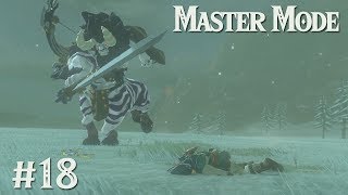 LYNEL FIGHT II Zelda BotW MASTER MODE 18 [upl. by Essa]