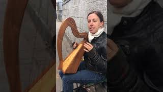 Irish Harp Street Musician in Cork [upl. by Sirtimed119]